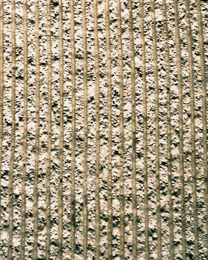 The same carpet after: pile lifted, colour even