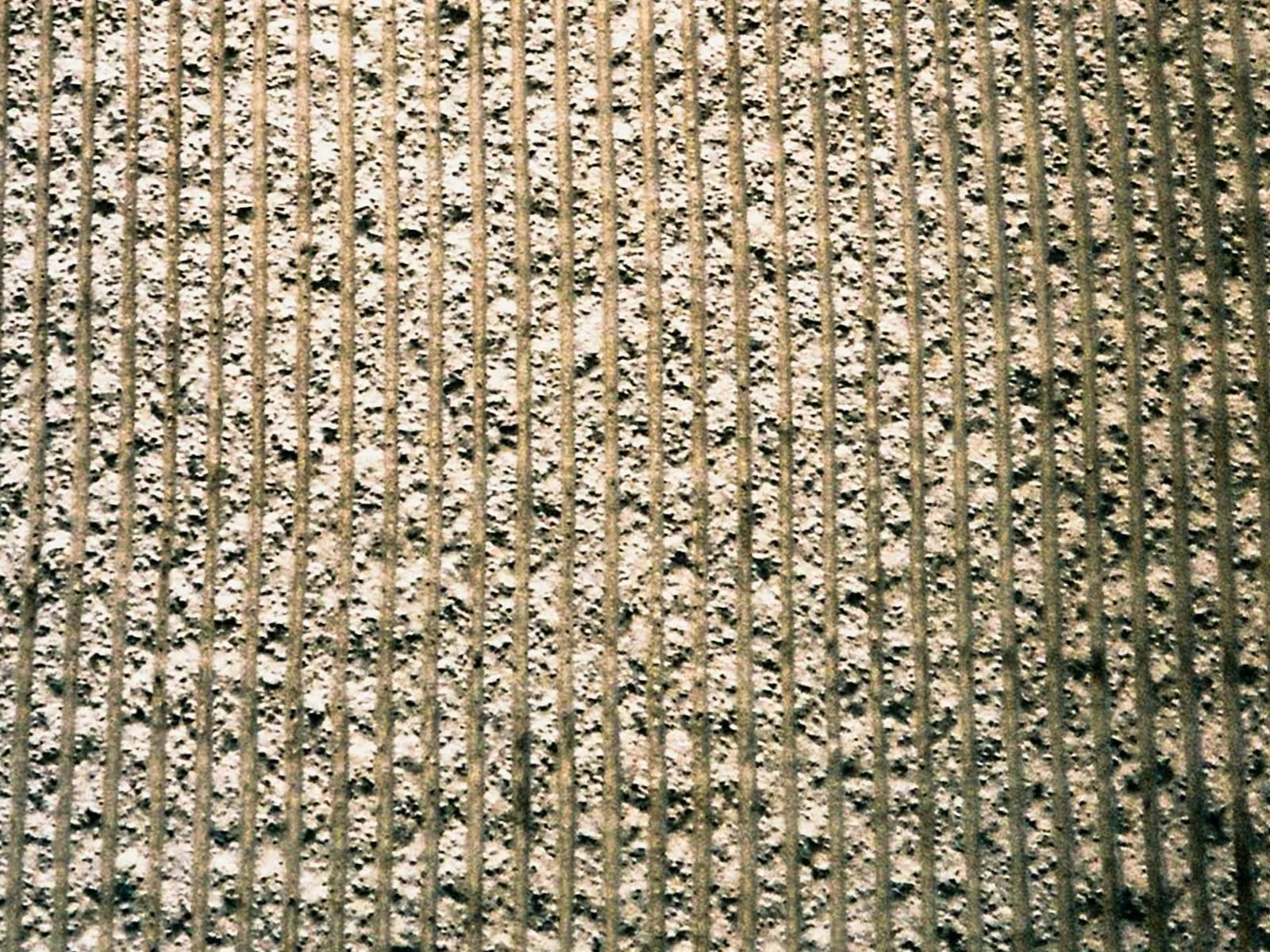 The same carpet after: pile lifted, colour even