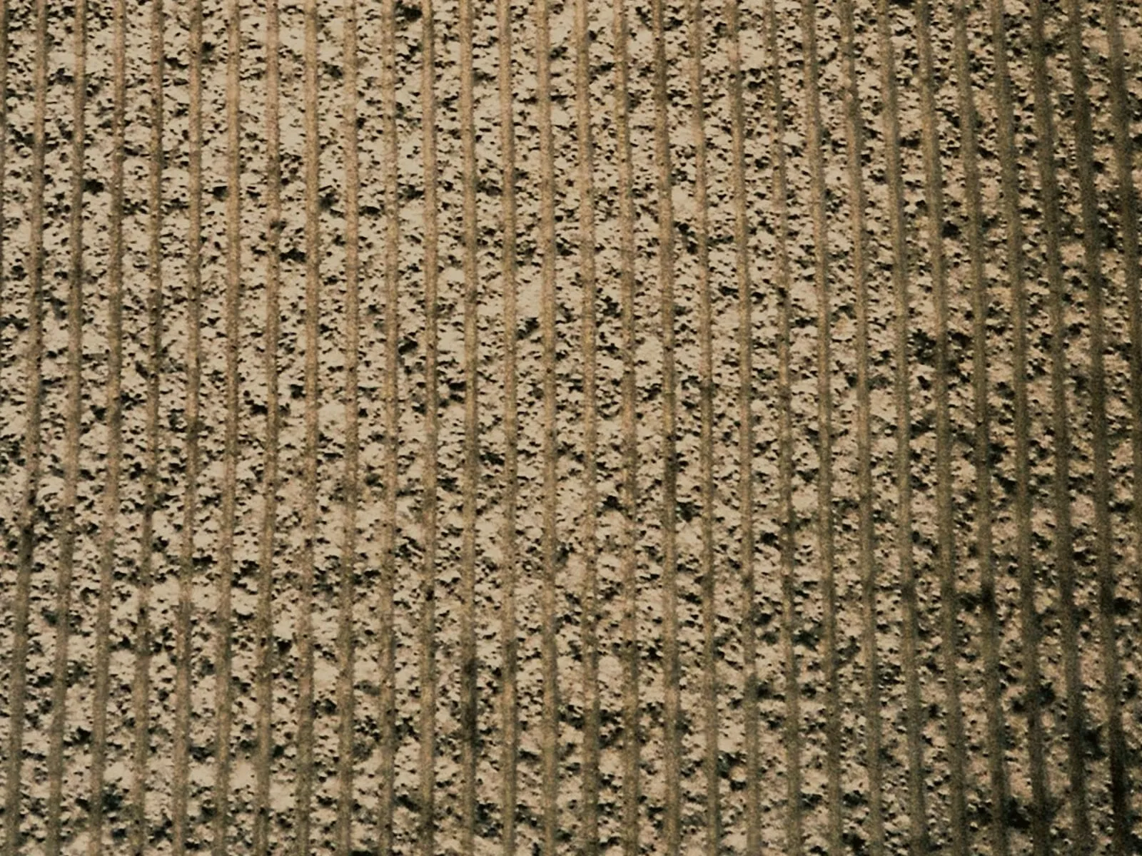 Carpet before: flattened pile with a dull, dark cast