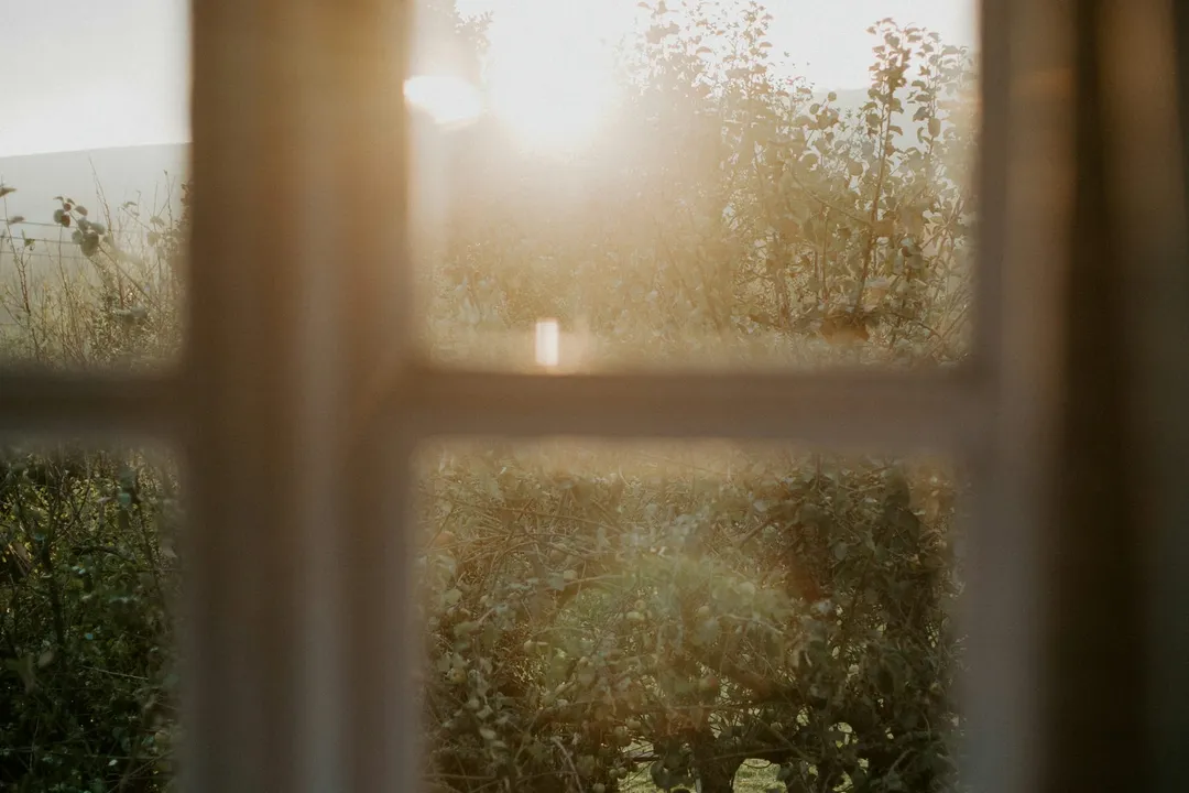 Morning light through a clean window onto a bare wall